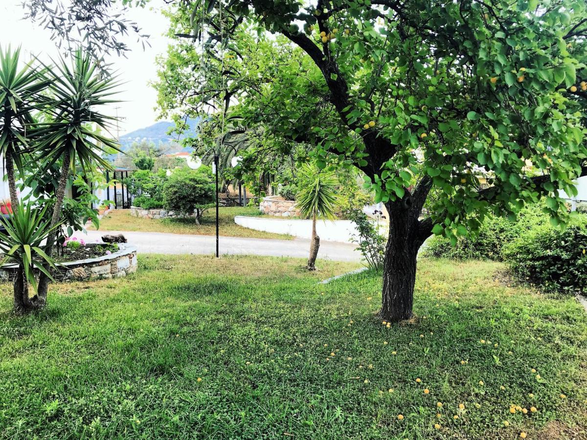 Pansion Episkopi Studios Skopelos Exterior foto